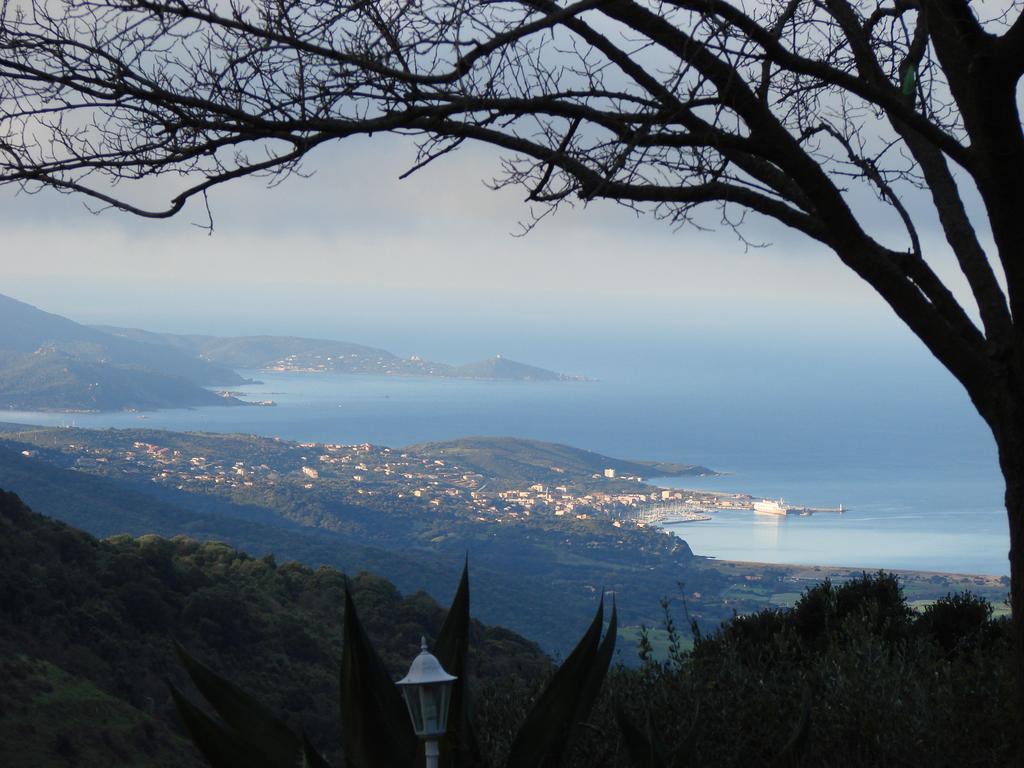 Gites Ruraux Aria Falcona Santa-Maria-Figaniella Quarto foto