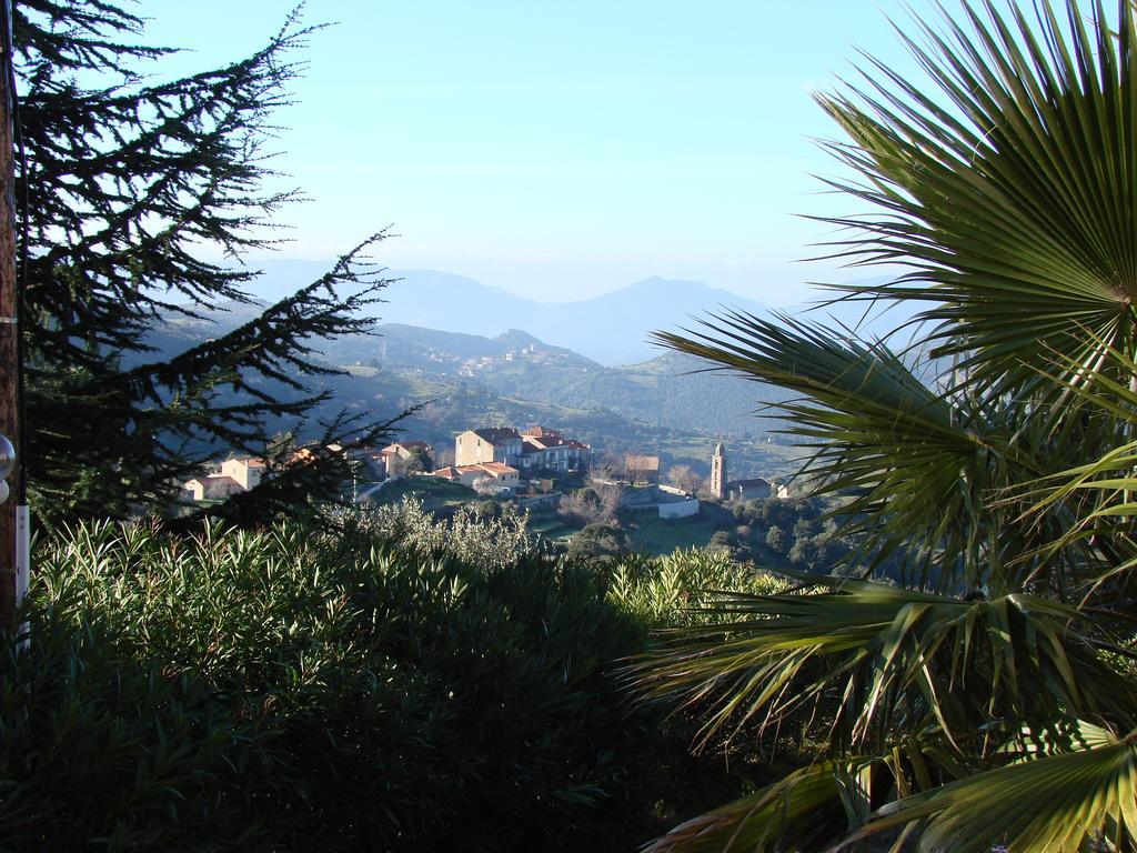 Gites Ruraux Aria Falcona Santa-Maria-Figaniella Quarto foto