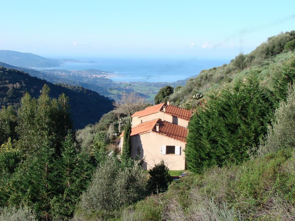 Gites Ruraux Aria Falcona Santa-Maria-Figaniella Quarto foto