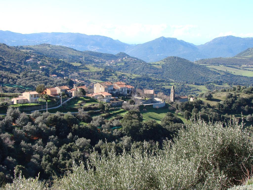 Gites Ruraux Aria Falcona Santa-Maria-Figaniella Quarto foto