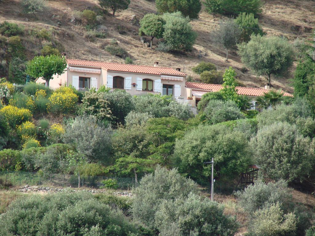 Gites Ruraux Aria Falcona Santa-Maria-Figaniella Quarto foto