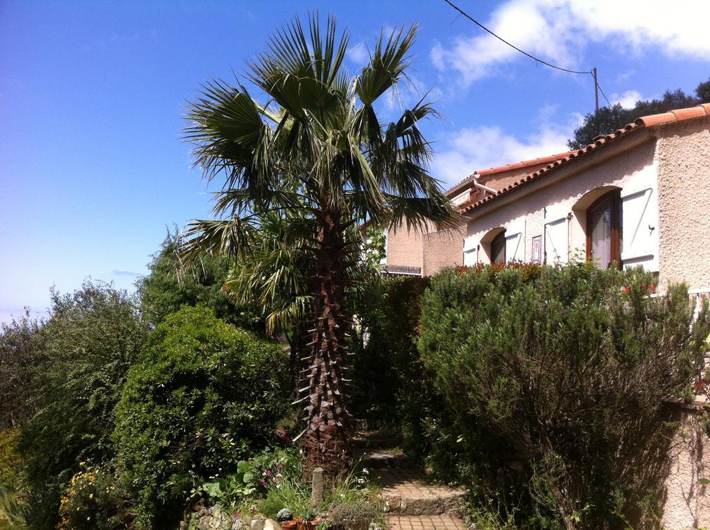 Gites Ruraux Aria Falcona Santa-Maria-Figaniella Exterior foto